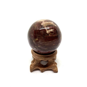 Petrified Wood Sphere 木化石