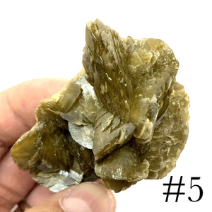 Siderite Raw-  菱鐵礦 原石