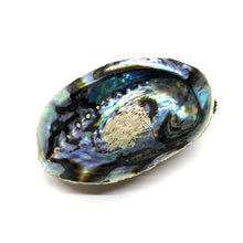 Load image into Gallery viewer, Abalone Shell 15cm 鮑魚殼
