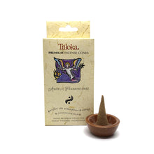 Load image into Gallery viewer, Triloka Incense Cones
